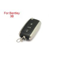 Binley remote control key Shell 3 botones (más barato)