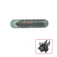 Chips de transpondedor de vidrio id13 de GM 10 / lote