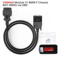 Yanhua Mini ACDP ACDP-2 Module31 with License A501 for BMW F chasis BDC Key Programming and Mileage Reset Via OBD