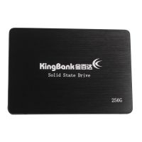 Empty​​​​​​​ SSD KP320 without Software 256GB 