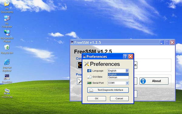 SUBARU FreeSSM 소프트웨어 디스플레이 3